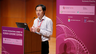 A Study That Linked Shorter Lifespans to CRISPR Baby Mutation Has Been Retracted